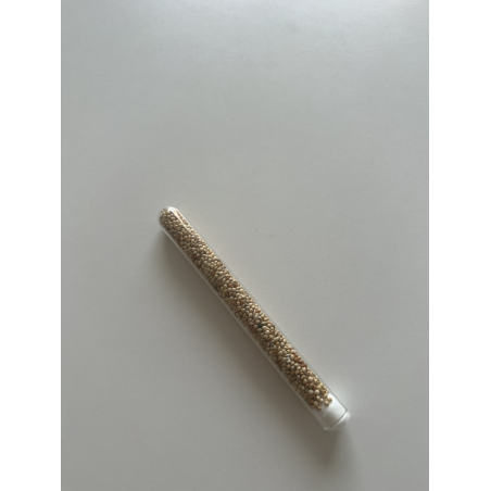 graine pour messor